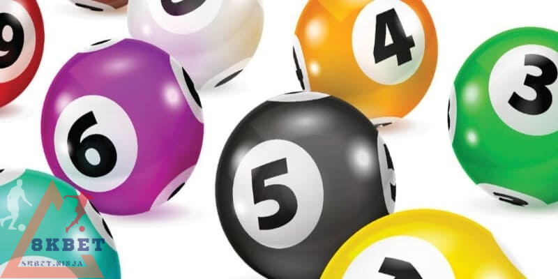 Bỏ túi một số kinh nghiệm nuôi lô bạch thủ bạn cần biết